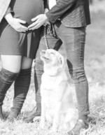 JDSPHOTO photographe de mariage et portraitiste photo grossesse Exterieure